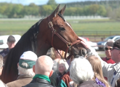 Tk-dag maj 2015 - 9